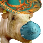 Government Swine and Swine Flu